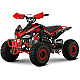ATV de Copii RDB AF110, 110cc, 4 Timpi, 45 km/h ATV de Copii RDB AF110, 110cc, 4 Timpi, 45 km/h