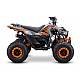 ATV RDB AFF150, 4 Timpi ATV RDB AFF150, 4 Timpi