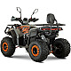 ATV de Copii RDB AFP125, 125cc, 4 Timpi, 45 km/h