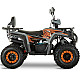 ATV de Copii RDB AFP125, 125cc, 4 Timpi, 45 km/h
