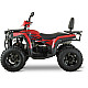 ATV RDB AFX200L, 180cc, 4 Timpi, 65 km/h