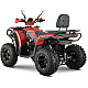 ATV RDB AFX200L, 180cc, 4 Timpi, 65 km/h