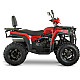 ATV RDB AFX200L, 180cc, 4 Timpi, 65 km/h