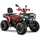 ATV RDB AFX200L, 180cc, 4 Timpi, 65 km/h