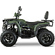 ATV RDB AFX200L, 180cc, 4 Timpi, 65 km/h
