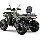 ATV RDB AFX200L, 180cc, 4 Timpi, 65 km/h