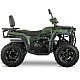 ATV RDB AFX200L, 180cc, 4 Timpi, 65 km/h