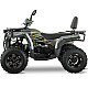 ATV RDB AFX200L, 180cc, 4 Timpi, 65 km/h