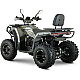 ATV RDB AFX200L, 180cc, 4 Timpi, 65 km/h