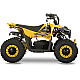 ATV Electric de Copii RDB FFG1000, 1000W, 36V / 12Ah, 25 km/h