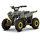 ATV Electric de Copii RDB FFG1000, 1000W, 36V / 12Ah, 25 km/h