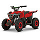 ATV Electric de Copii RDB FFG1000, 1000W, 36V / 12Ah, 25 km/h