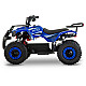 ATV Electric de Copii RDB FFL1000, 1000W, 48V / 12Ah, 25 km/h
