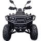ATV RDB HAMMER 125A / S8, 200cc, 4 Timpi, 60km/h ATV RDB HAMMER 125A / S8, 200cc, 4 Timpi, 60km/h