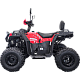 ATV RDB HAMMER 125A / S8, 200cc, 4 Timpi, 60km/h ATV RDB HAMMER 125A / S8, 200cc, 4 Timpi, 60km/h