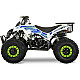 ATV de Copii RDB AN125, 125cc, 4 Timpi, 45 km/h ATV de Copii RDB AN125, 125cc, 4 Timpi, 45 km/h