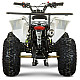 ATV de Copii RDB AN125, 125cc, 4 Timpi, 45 km/h ATV de Copii RDB AN125, 125cc, 4 Timpi, 45 km/h