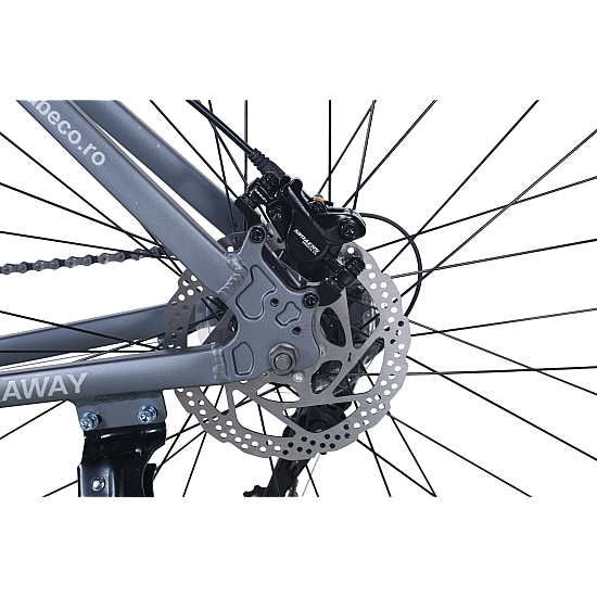 Bicicleta RDB BDF-SM, roata 29 inch Bicicleta RDB BDF-SM, roata 29 inch
