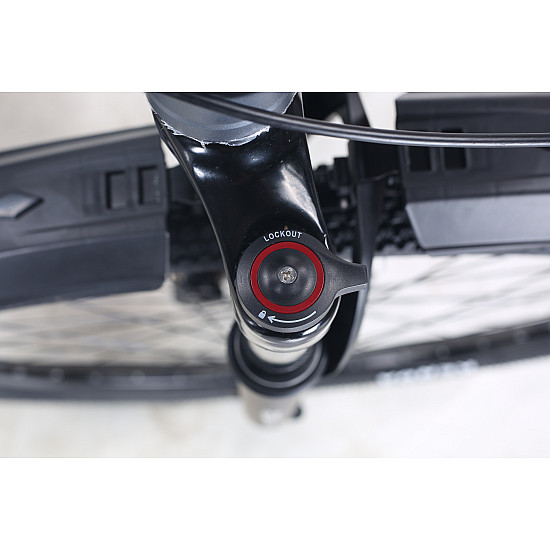 Bicicleta RDB BDF-SM, roata 29 inch