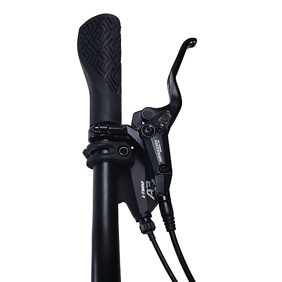 Bicicleta RDB BDF-SM, roata 29 inch Bicicleta RDB BDF-SM, roata 29 inch