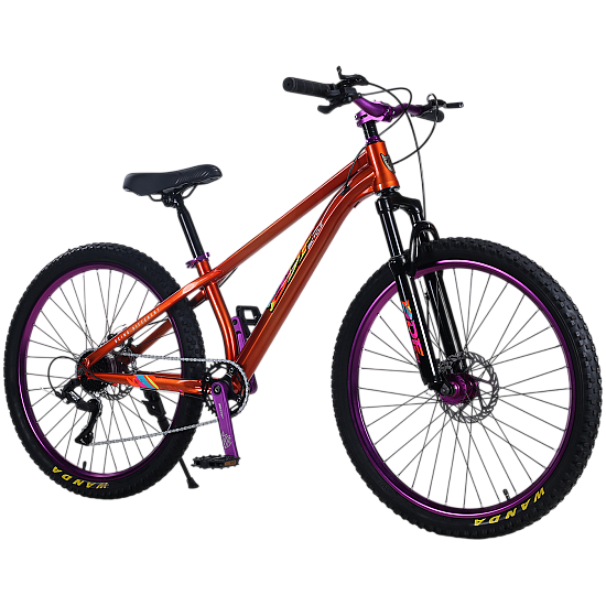 Bicicleta RDB BDF-TPC, roata 26 inch Bicicleta RDB BDF-TPC, roata 26 inch