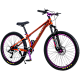 Bicicleta RDB BDF-TPC, roata 26 inch Bicicleta RDB BDF-TPC, roata 26 inch