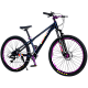 Bicicleta RDB BDF-TPC, roata 26 inch