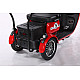 Triciclu Electric RDB Panda 5, 650W, 60V20Ah, Fără permis