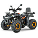 ATV RDB AW200, 180cc, 4 Timpi ATV RDB AW200, 180cc, 4 Timpi