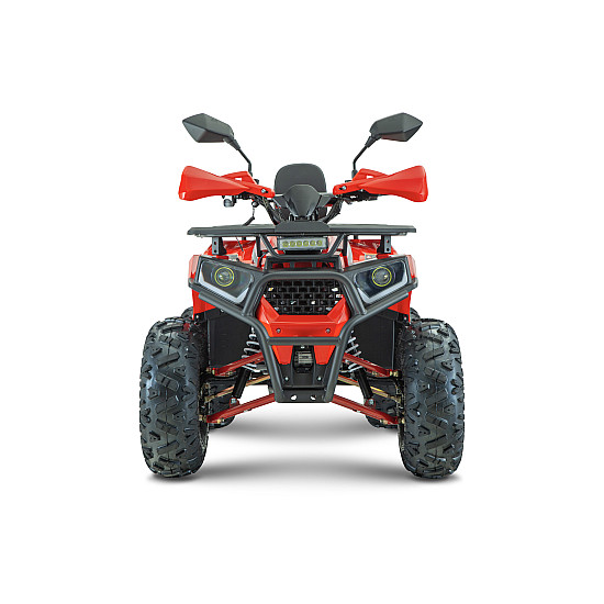 ATV RDB AY125, 125cc, 4 Timpi ATV RDB AY125, 125cc, 4 Timpi