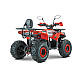 ATV RDB AY125, 125cc, 4 Timpi ATV RDB AY125, 125cc, 4 Timpi