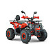 ATV RDB AY125, 125cc, 4 Timpi ATV RDB AY125, 125cc, 4 Timpi