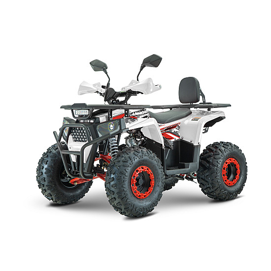 ATV RDB AY125, 125cc, 4 Timpi ATV RDB AY125, 125cc, 4 Timpi
