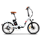 Bicicletă electrică RDB GT-25, cadru pliabil, 250W,model 2022