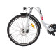 Bicicleta electrica RDB NE10, 250W, 25 km/h, autonomie 45-60 km, Alb