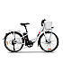Bicicleta electrica RDB XT-1, 250W, pliabila, 6 viteze, model 2022, cos transport