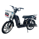 Scuter electric RDB Dunărea 450W Scuter electric RDB Dunărea 450W