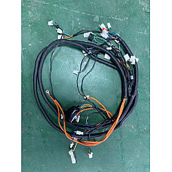 Ansamblu cablaj principal Ansamblu cablaj principal