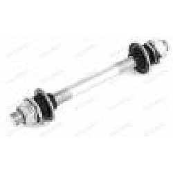 Ax frontal Ax frontal