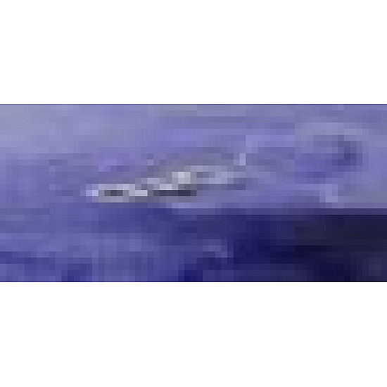 Placute aripa suprapuse