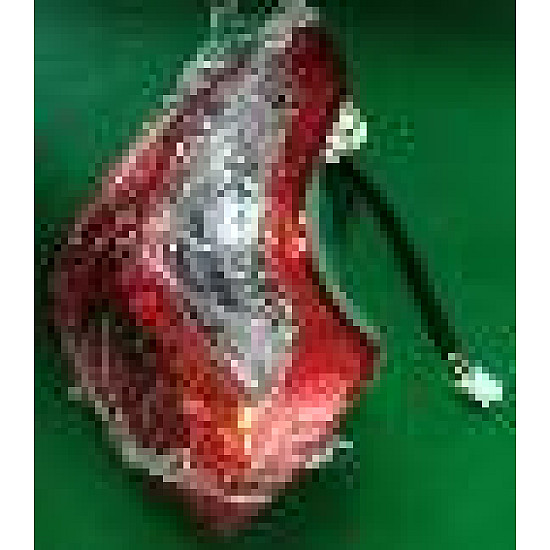 Semnalizare stanga spate