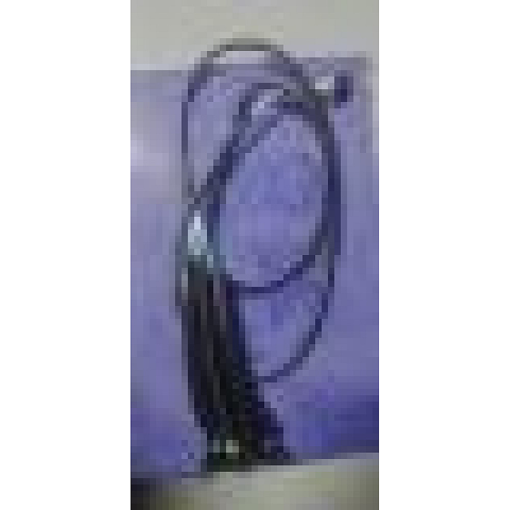 Piese triciclu Long - Cablaj lămpi spate pentru triciclu electric RDB Long - piesă originală