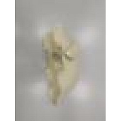Apărătoare noroi spate, PARIS Apărătoare noroi spate, PARIS