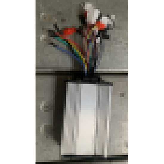 Controler SINOE Controler SINOE