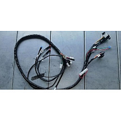 Cablaj electric principal CC25 Cablaj electric principal CC25