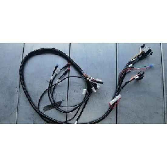 Cablaj electric principal CC25 Cablaj electric principal CC25